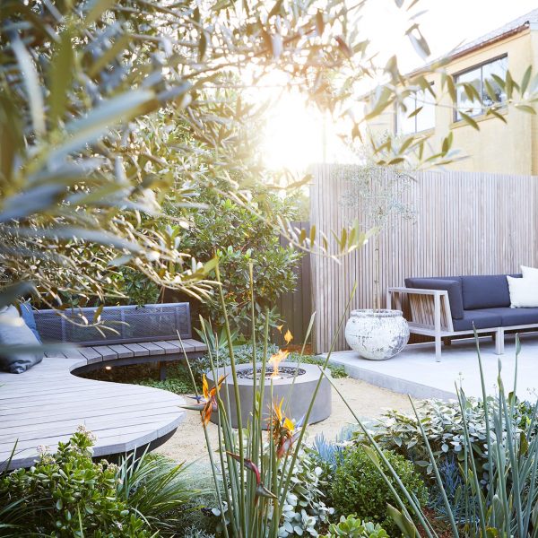 Coastal garden Sydney, garden design, landscape design eastern suburbs