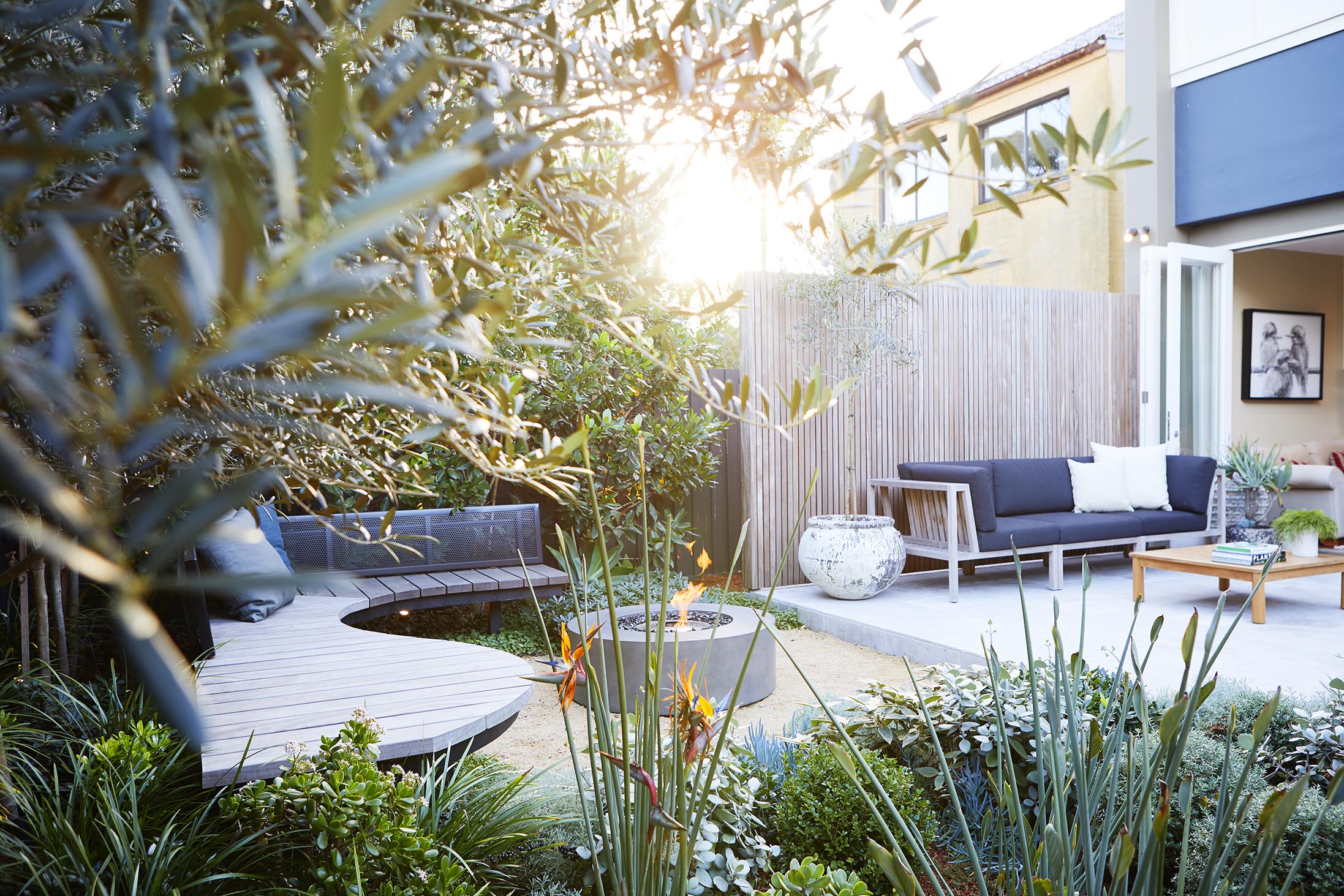 Coastal Garden Sydney Garden Design Landscape Design Eastern Suburbs